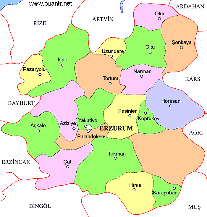 Erzurum ilçeleri haritası